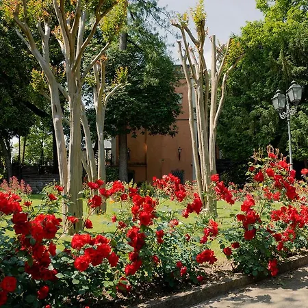 Bed & Breakfast Lioy-faresin Montegalda